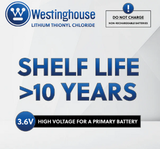ER26500 C Size  battery 10 years